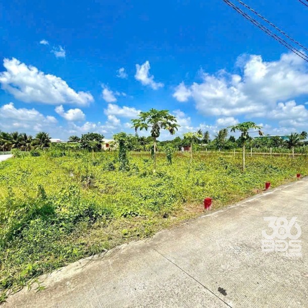 4 lô đất thổ cư xã Mỹ Lộc, Cần Giuộc dt 118m2 giá 1,15 tỷ / lô-4