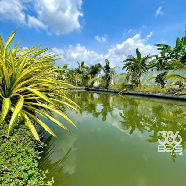 Nhà vườn view kênh xã An Nhơn Tây , Củ Chi tổng dt 1700m2 3pn 2wc giá 8,5 tỷ-4