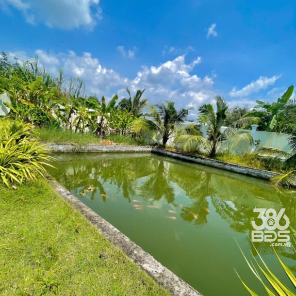Nhà vườn view kênh xã An Nhơn Tây , Củ Chi tổng dt 1700m2 3pn 2wc giá 8,5 tỷ-6