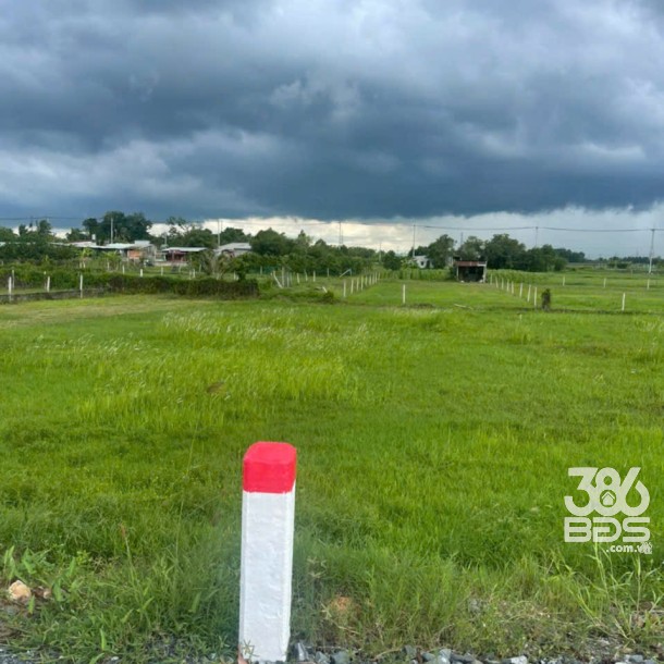 600m2 đất lúa đường beton xã Phước Hiệp, Củ Chi giá 1,05 tỷ-3