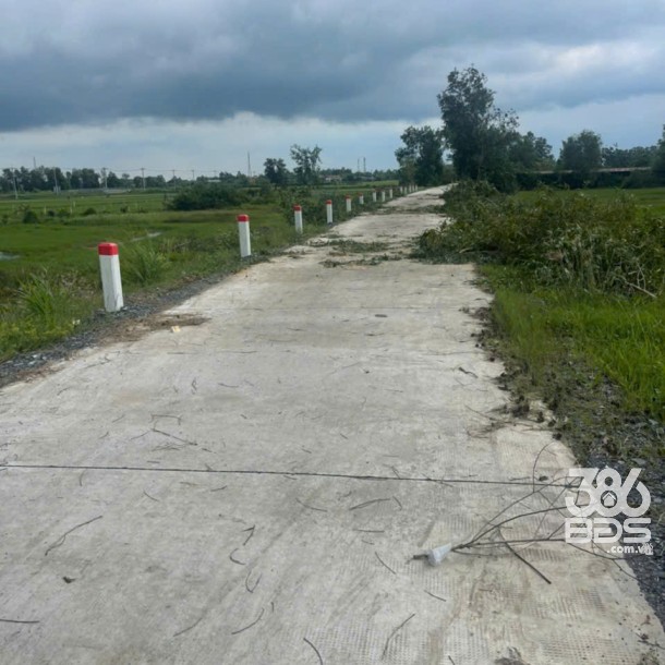 Nhà mặt tiền Long Hòa, xã Phước Vân, Cần Đước dt 1330m2 full thổ giá 13 tỷ-1