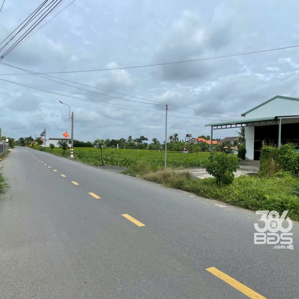 Nhà mặt tiền Long Hòa, xã Phước Vân, Cần Đước dt 1330m2 full thổ giá 13 tỷ-2