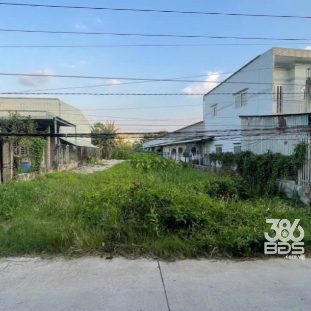 560m2 đất ( có 120m2 thổ cư) xã Lương Bình, Bến Lức, Long An giá 3,9 tỷ-3