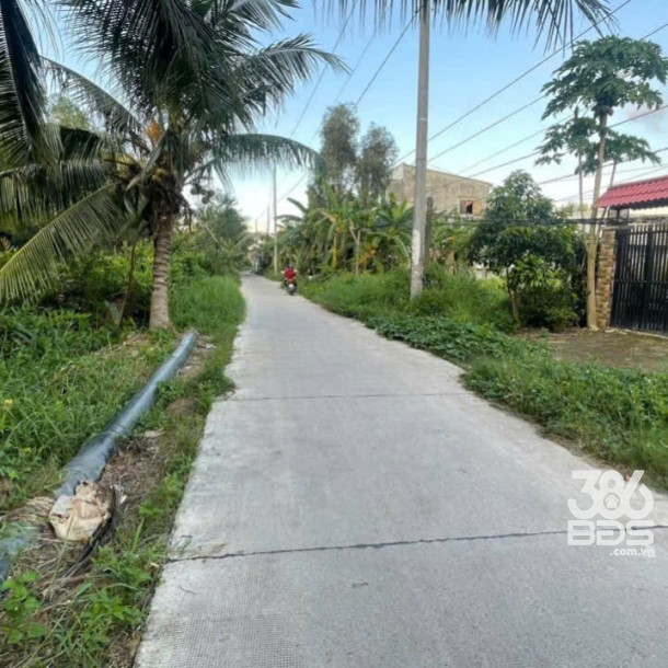 560m2 đất ( có 120m2 thổ cư) xã Lương Bình, Bến Lức, Long An giá 3,9 tỷ-5