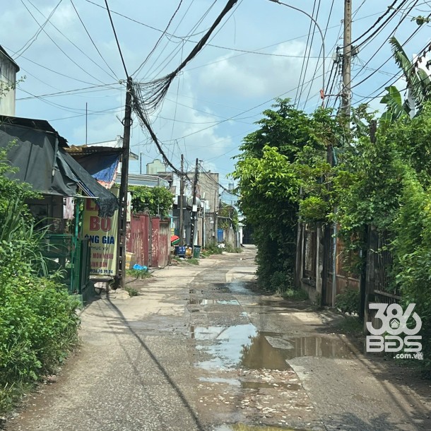 Cần bán gấp đất thổ cư tại thành phố Biên Hòa, tỉnh Đồng Nai, cơ hội phát triển và tăng giá trị lớn-3