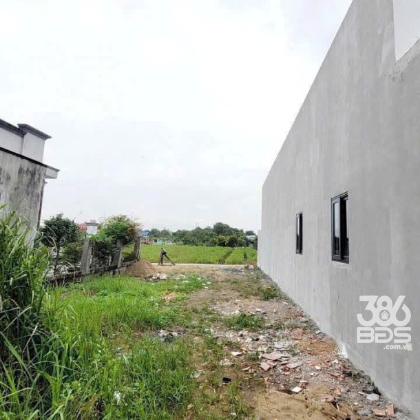 447m2 thổ cư xã Mỹ Lộc, Cần Giuộc , Long An giá 1,95 tỷ-4