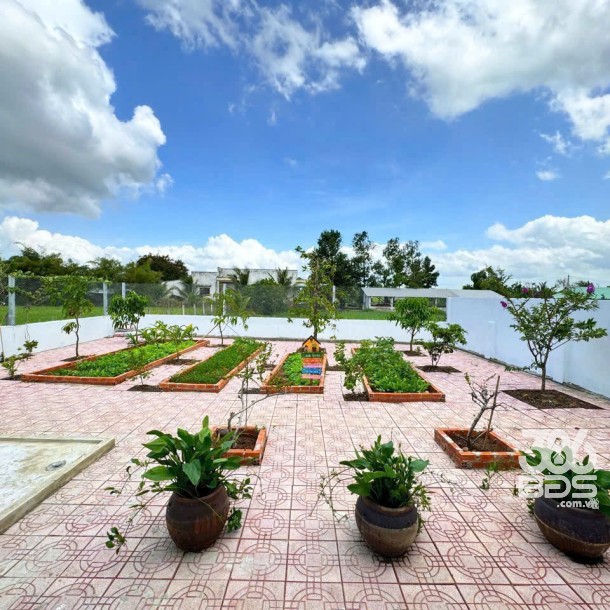 Nhà vườn đẹp xã Hòa Khánh Tây , Đức Hòa tổng dt 675m2 ( 100m2 thổ) 3pn 2wc giá 4,5 tỷ-7