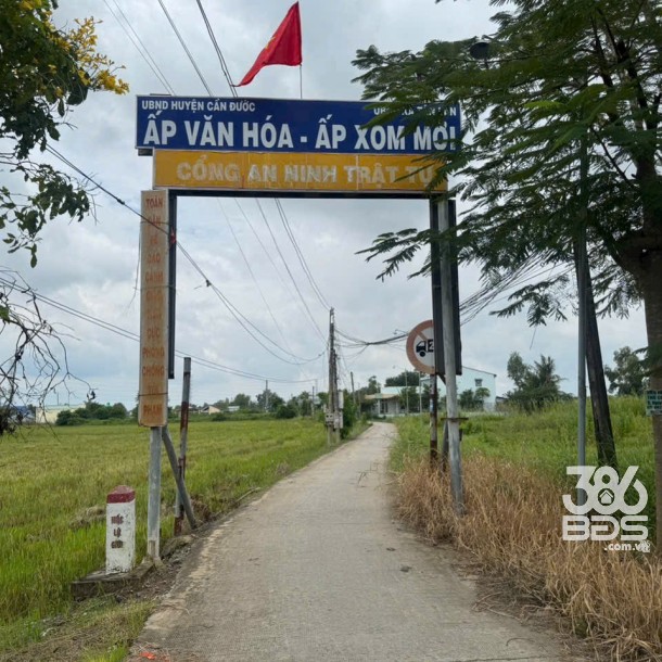 17 lô thổ cư xã Tân lân, Cần Đước, Long An dt 110m2 -> 130m2 tùy lô giá 750tr/ nền-3