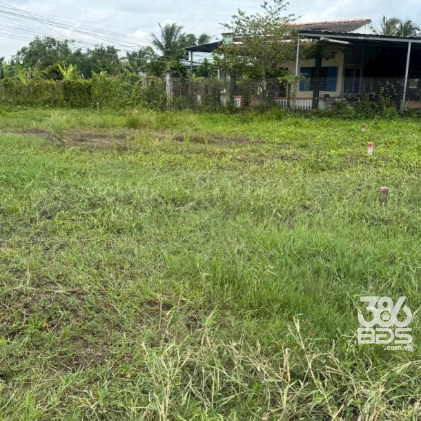 17 lô thổ cư xã Tân lân, Cần Đước, Long An dt 110m2 -> 130m2 tùy lô giá 750tr/ nền-4