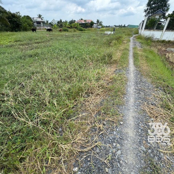 17 lô thổ cư xã Tân lân, Cần Đước, Long An dt 110m2 -> 130m2 tùy lô giá 750tr/ nền-5