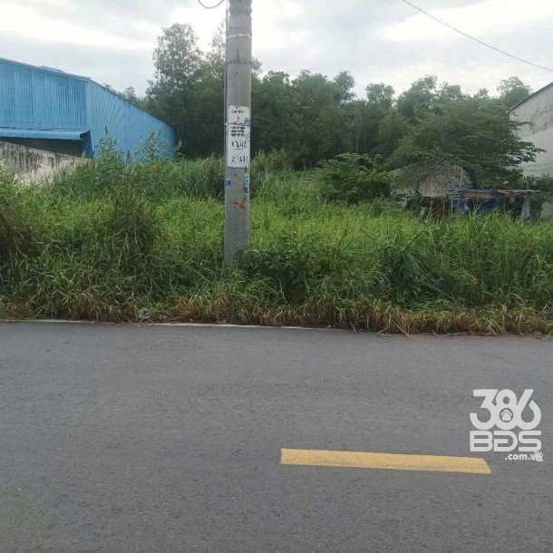 611m2 đất mặt tiền Lê Đình Chi, xã Lê Minh Xuân, Bình Chánh giá 8 tỷ-3