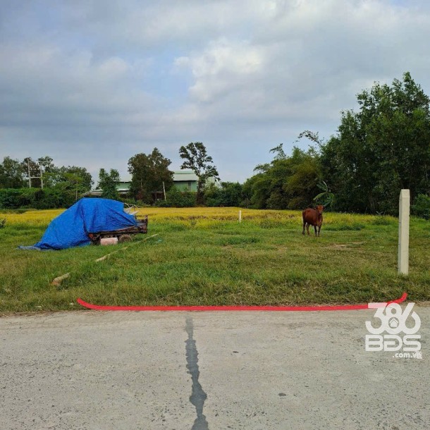 115m2 đất thổ cư , đường beton xã Đức Hòa Đông, Đức Hòa, Long An giá 1,15 tỷ-3