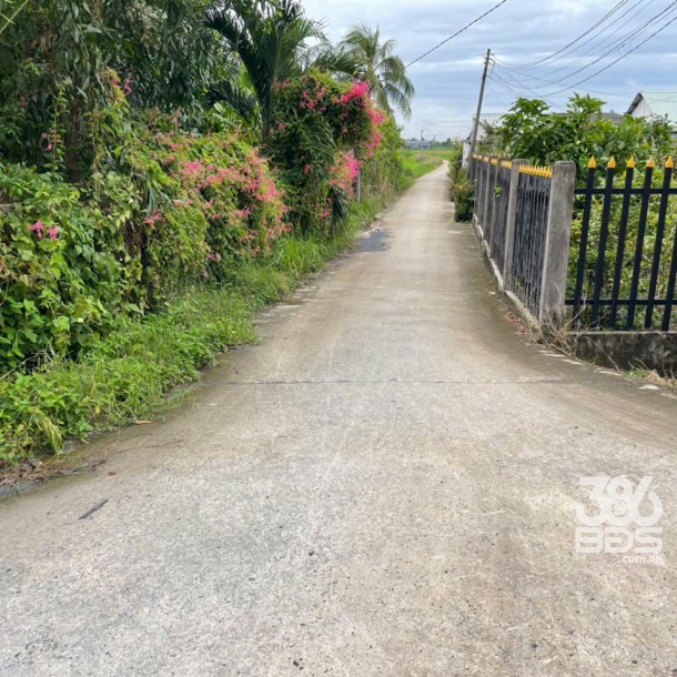 Nhà cấp 4 mới xây xã An Thạnh, Bến Lức, Long An dt 137m2 2pn 1wc giá 1,65 tỷ-1