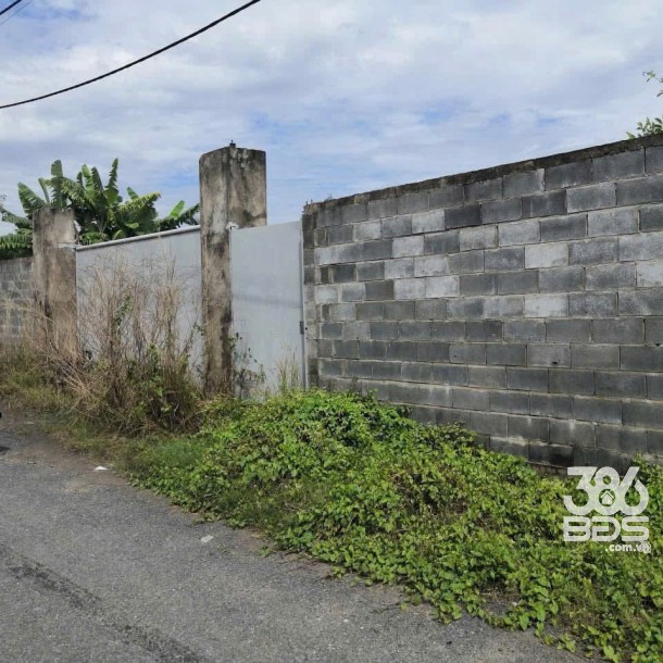 1226m2 đất vườn có tường bao quanh mt Kênh Rau Răm, xã Bình Lợi giá 6 tỷ-3