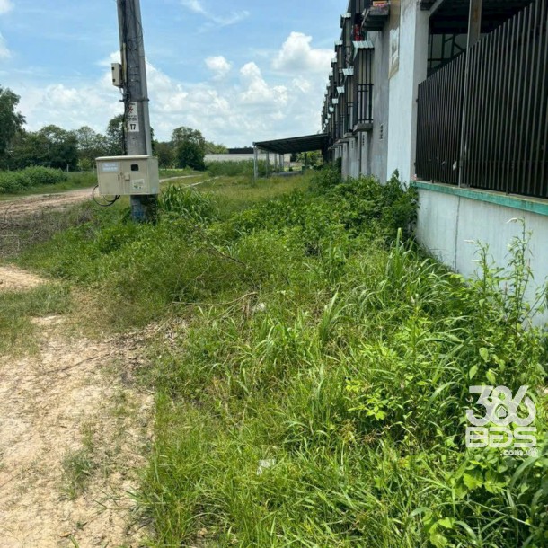 18220m2 đất (617m2 thổ cư) khu quy hoạch chuyển đổi SKC xã Lộc Giang, Đức Hòa giá 13,5 tỷ-5