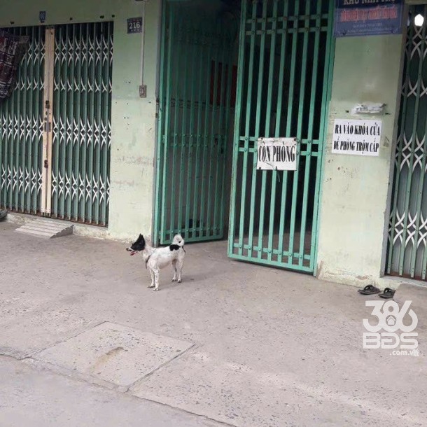 Dãy trọ 13 phòng , thu nhập ổn định ở xã Tân Bửu, Bến Lức dt 375m2 giá 12 tỷ-2