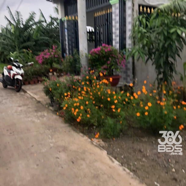 155m2 thổ cư đường beton 4m xã Phước Vân, Cần Đước giá 1,5 tỷ-2