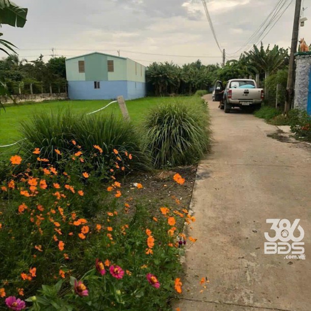 155m2 thổ cư đường beton 4m xã Phước Vân, Cần Đước giá 1,5 tỷ-3