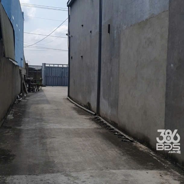 Nhà xưởng mặt tiền Tân Thạnh Đông tổng dt 1231m2 giá 12 tỷ-7