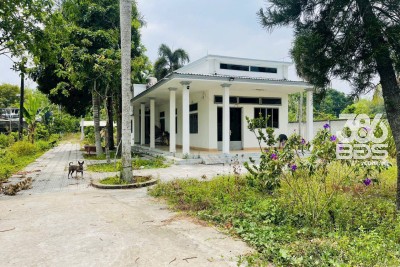 Đất 3 mặt tiền đường Bàu Lách xã Phạm Văn Cội dt 5079m2 ( có 1406m2 thổ cư) giá 25,4 tỷ