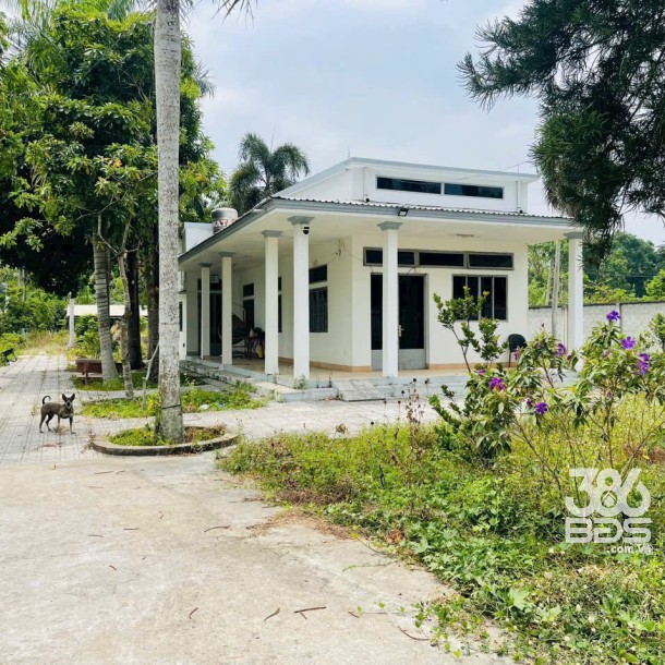 Đất 3 mặt tiền đường Bàu Lách xã Phạm Văn Cội dt 5079m2 ( có 1406m2 thổ cư) giá 25,4 tỷ-1