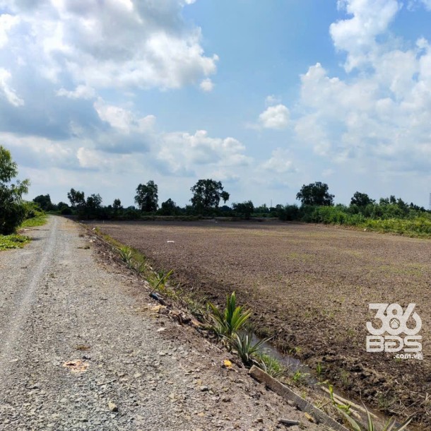 Bán đất vườn mặt tiền kênh ở Thù Thừa tổng dt 13.309m2 giá 7,8 tỷ-1