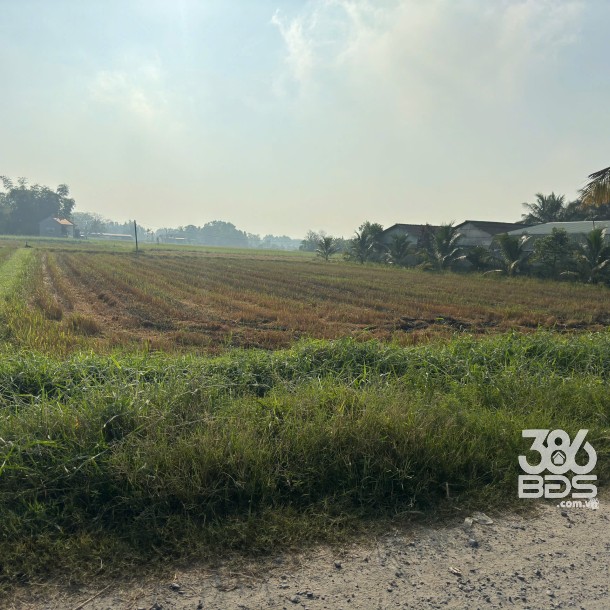 Bán 2 lô thổ cư vuông vức, đường xe hơi , xã Đức Lập Hạ, tổng dt 2 lô 600m2 giá 3,6 tỷ-4