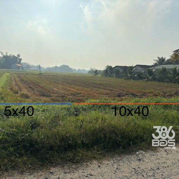 Bán 2 lô thổ cư vuông vức, đường xe hơi , xã Đức Lập Hạ, tổng dt 2 lô 600m2 giá 3,6 tỷ-5