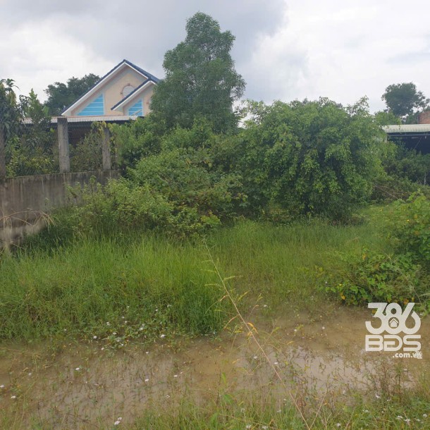 Bán đất full thổ mặt tiền nhựa Hồ Chí Minh, xã An Ninh Đông dt 500m2 giá 2,95 tỷ-4