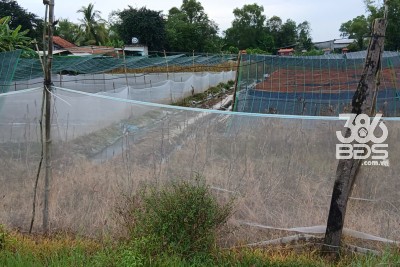 Bán lô đất thô cư xã An Ninh Đông tổng dt 950m2 full thổ , đường đá xanh 4m giá 2,3 tỷ