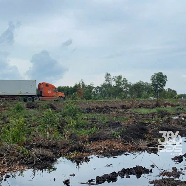 Bán 46.000m2 đất rừng sản xuất quy hoạch lên SKC xã Mỹ Thạnh Đông , Đức Huệ giá 17 tỷ-1