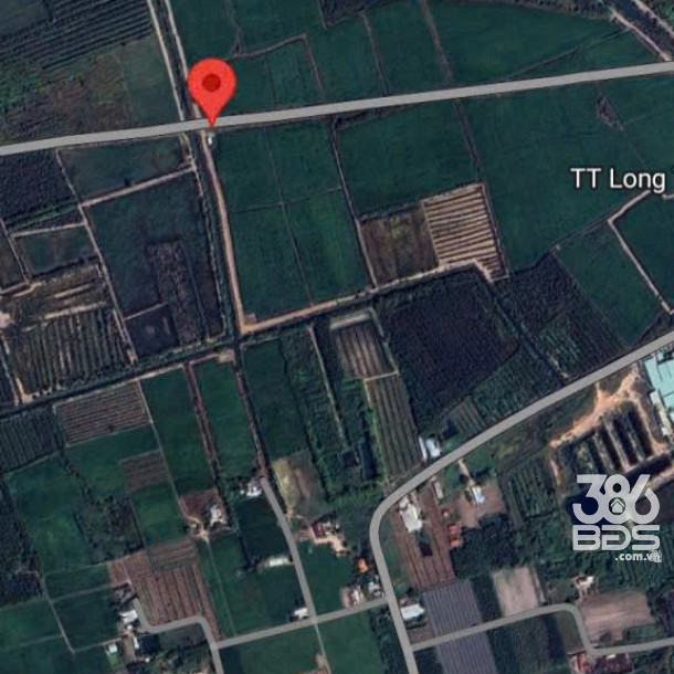 Bán 46.000m2 đất rừng sản xuất quy hoạch lên SKC xã Mỹ Thạnh Đông , Đức Huệ giá 17 tỷ-3