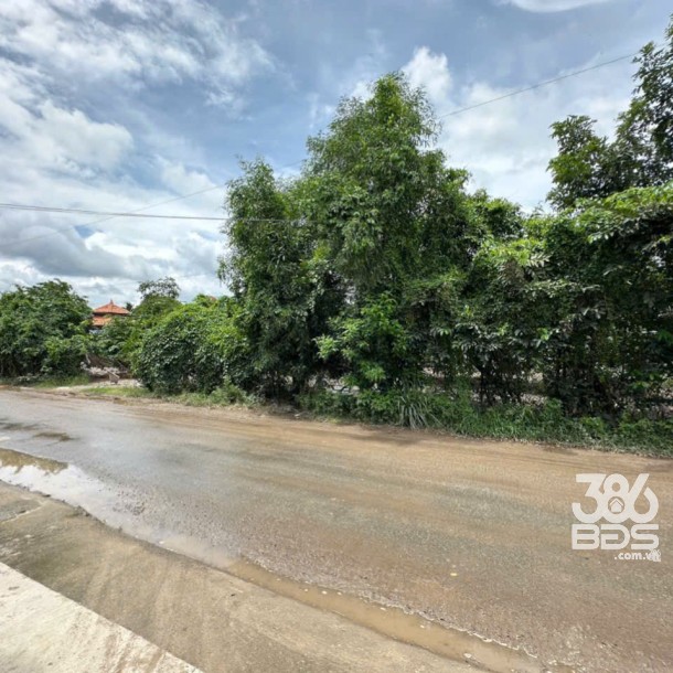 Bán đất 5100m2 (492m2 thổ) đường nhựa xã Thanh Phú, Bến Lức giá 37 tỷ-1