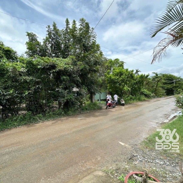 Bán đất 5100m2 (492m2 thổ) đường nhựa xã Thanh Phú, Bến Lức giá 37 tỷ-2