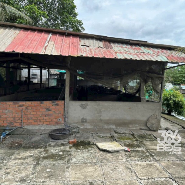 Bán đất 5100m2 (492m2 thổ) đường nhựa xã Thanh Phú, Bến Lức giá 37 tỷ-4