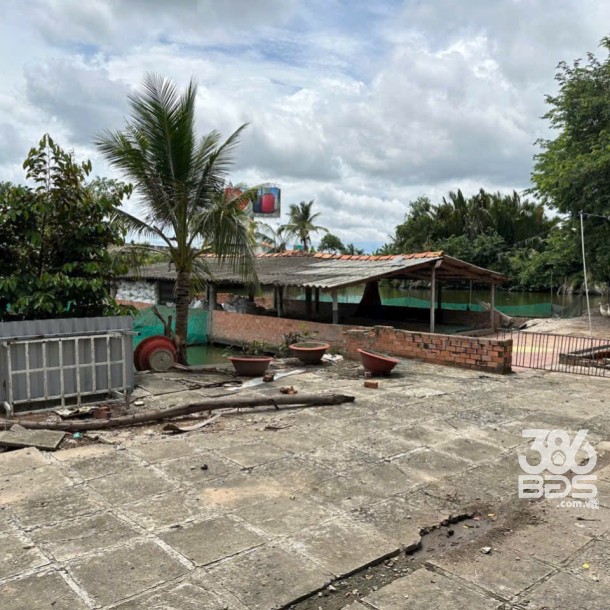 Bán đất 5100m2 (492m2 thổ) đường nhựa xã Thanh Phú, Bến Lức giá 37 tỷ-8