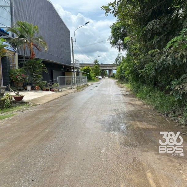 Bán đất 5100m2 (492m2 thổ) đường nhựa xã Thanh Phú, Bến Lức giá 37 tỷ-9