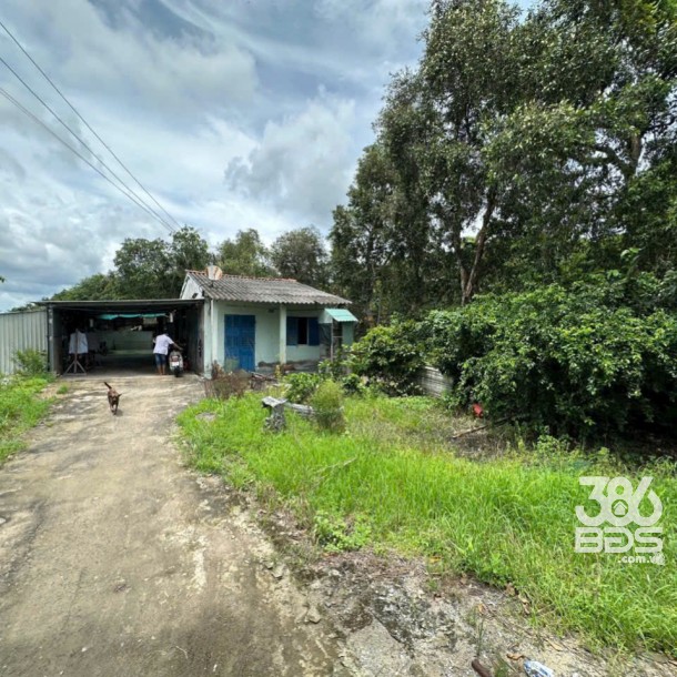 Bán đất 5100m2 (492m2 thổ) đường nhựa xã Thanh Phú, Bến Lức giá 37 tỷ-10