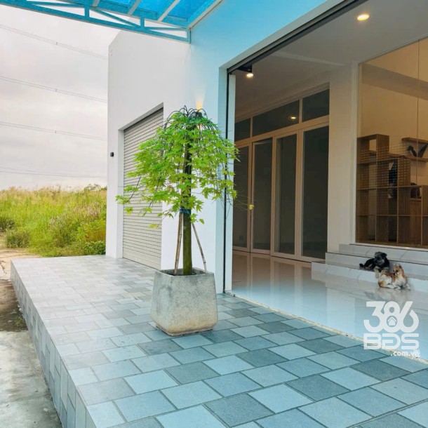 Bán nhà cấp 4 mới xây xã Tân Trạch, Cần Đước tdt 182m2 3pn 4wc giá 4,5 tỷ-9