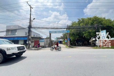 Bán đất thổ + lúa xã Đức Hòa Thượng tdt 1180m2 ( 175m2 thổ) đường đá xanh giá 2,15 tỷ