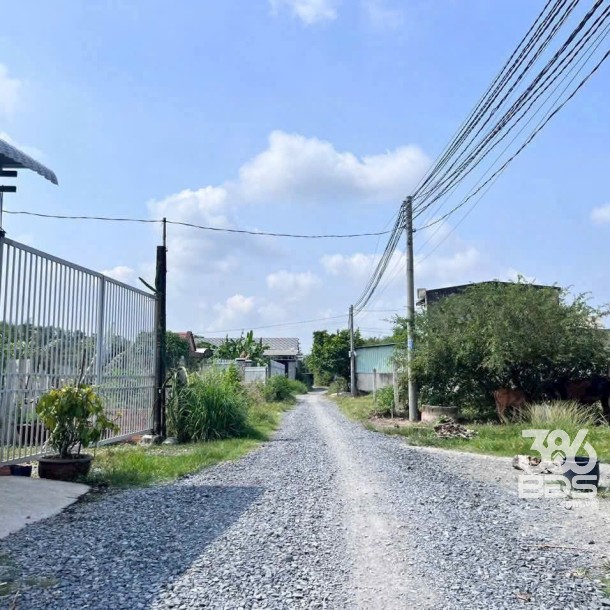 Bán đất thổ + lúa xã Đức Hòa Thượng tdt 1180m2 ( 175m2 thổ) đường đá xanh giá 2,15 tỷ-3