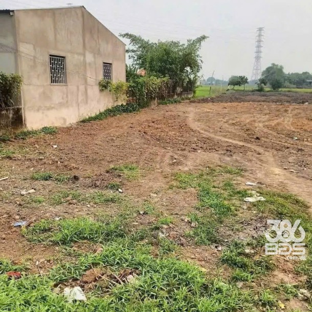 Bán đất lúa mặt tiền đường nhựa, thị trấn Hậu Nghĩa, Đức Hòa dt 2500m2 giá 5,5 tỷ-3