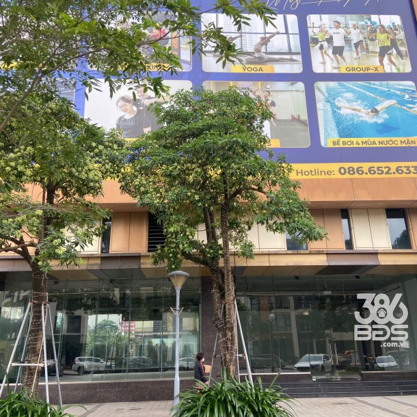 Cho thuê mặt bằng kinh doanh văn phòng 243m2 tầng 1 6th Element, làm Showroom, Ngân hàng-6