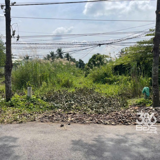 Bán nền thổ cư dt 200m2 mặt tiền đường nhựa ấp 10, xã Lương Hòa, Bến Lức  giá 2,2 tỷ-3