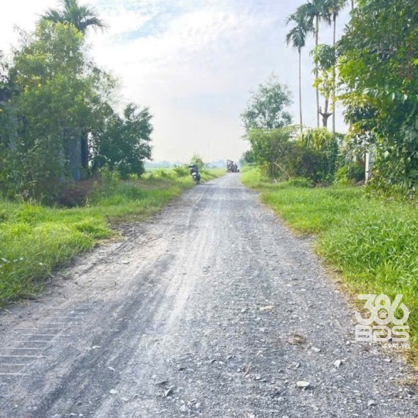 Bán đất thổ cư , đường đá xanh xe oto xã Đức Lập Hạ dt 500m2 giá 2 tỷ-2