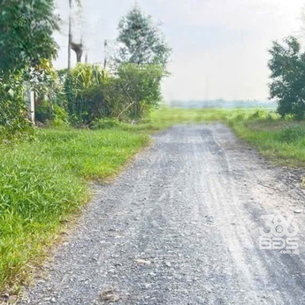 Bán đất thổ cư , đường đá xanh xe oto xã Đức Lập Hạ dt 500m2 giá 2 tỷ-1