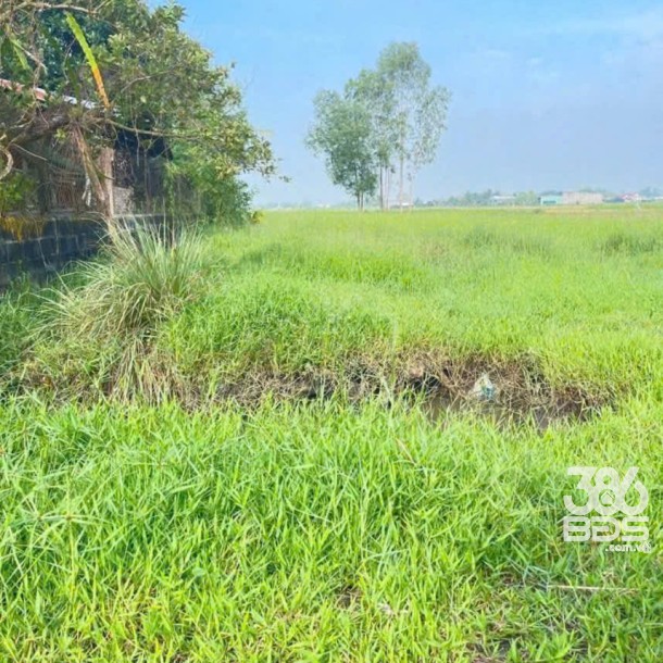 Bán đất thổ cư , đường đá xanh xe oto xã Đức Lập Hạ dt 500m2 giá 2 tỷ-3