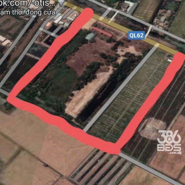 Bán đất mt quốc lộ 62 , huyện Thạnh Hóa tổng dt 5,8 ha (2,5 ha skc, 4000m2 thổ) giá 140 tỷ-6