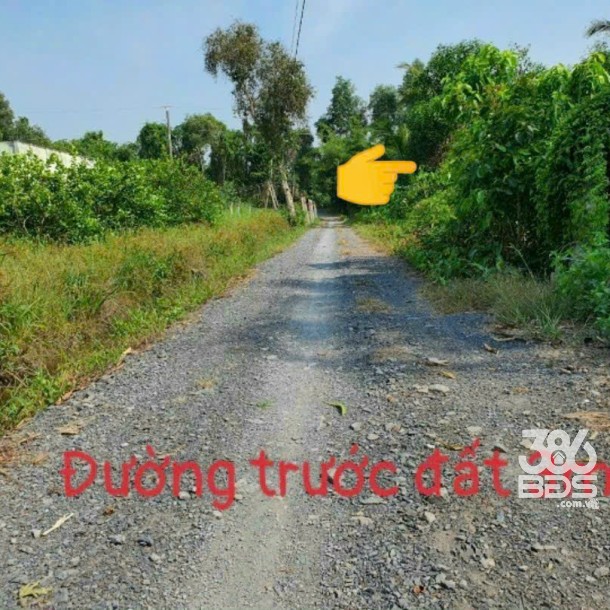 Bán nền thổ cư xã Bình Đức, Bến Lức dt 154m2 giá 720 triệu-2