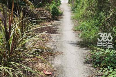 Bán nền thổ cư đường đá xanh 2m xã Tân Trụ , Bến Lức dt 105,5m2 giá 380 triệu